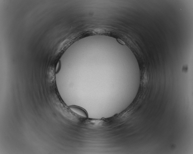 X0000115620478200911241628