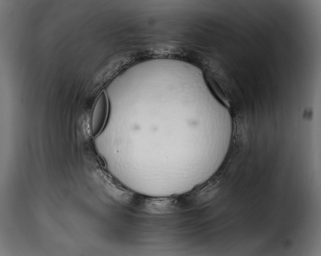 X0000115620479200911241628