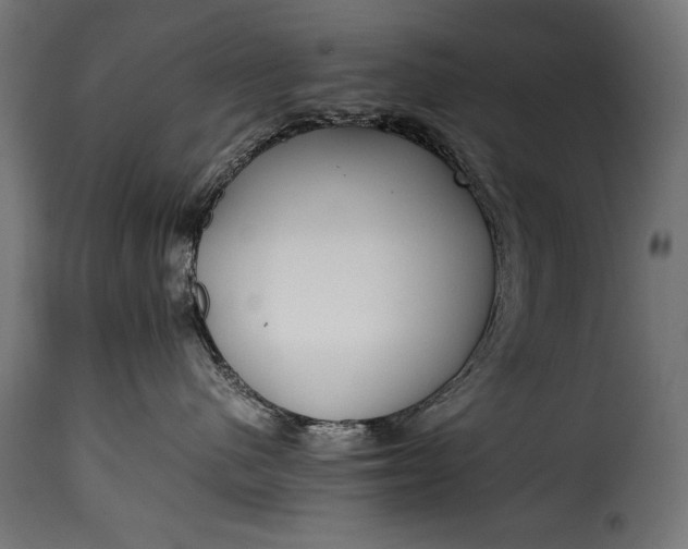 X0000115620480200911241628