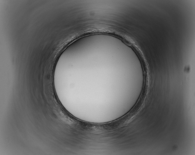 X0000115620481200911241627