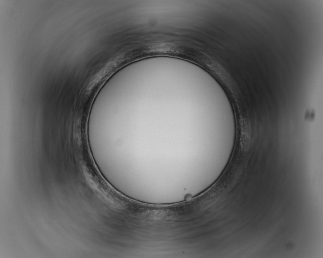 X0000115620482200911241627