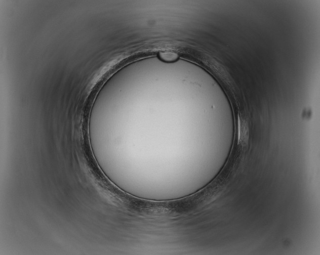 X0000115620483200911241627