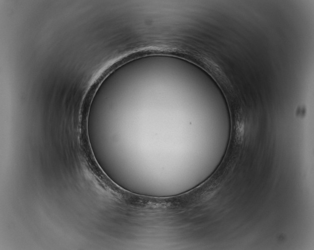 X0000115620484200911241627