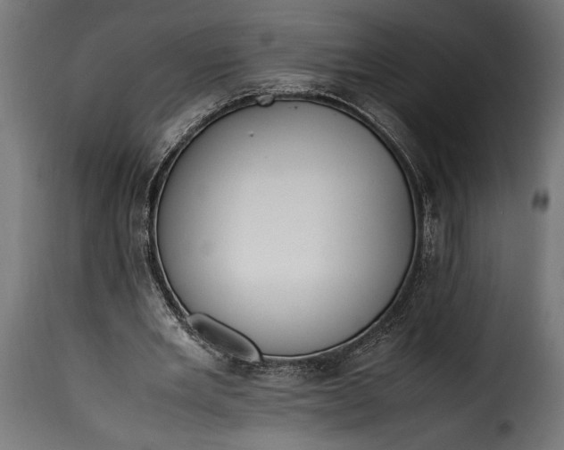 X0000115620485200911241627