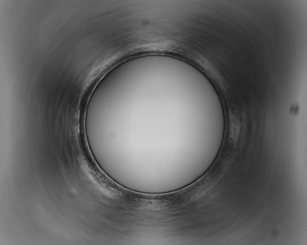 X0000115620486200911241627