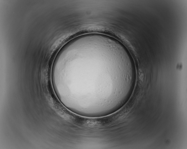 X0000115620487200911241627