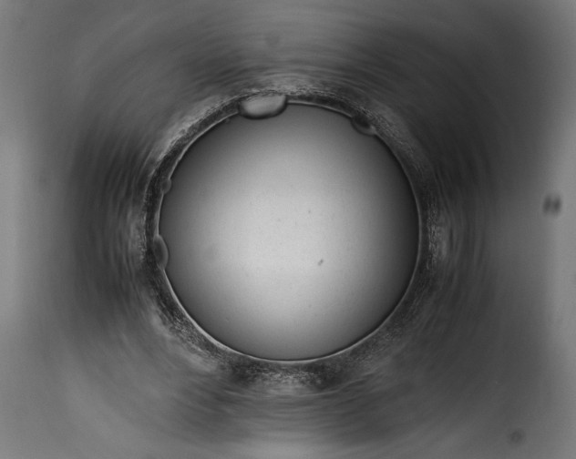 X0000115620488200911241627