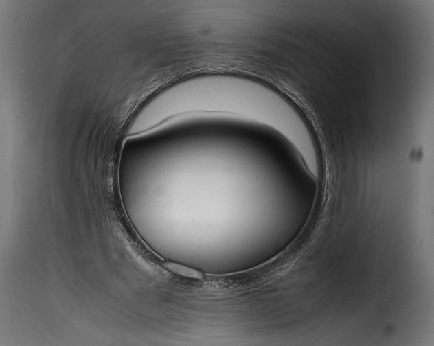 X0000115620489200911241627