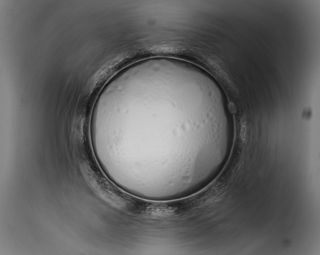 X0000115620491200911241627