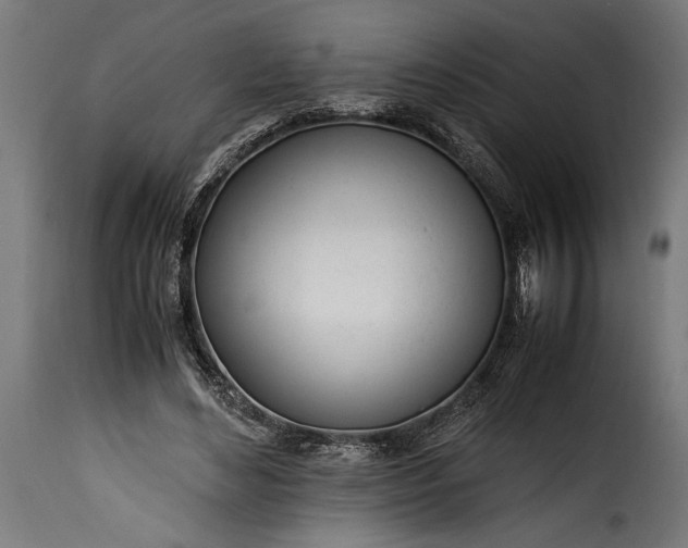 X0000115620492200911241627