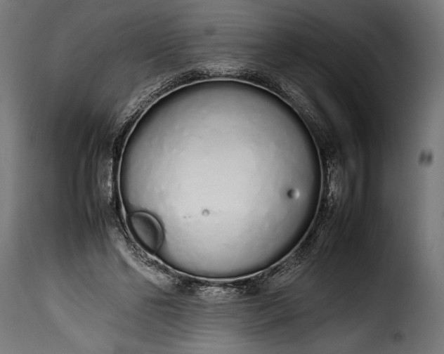 X0000115620494200911241627