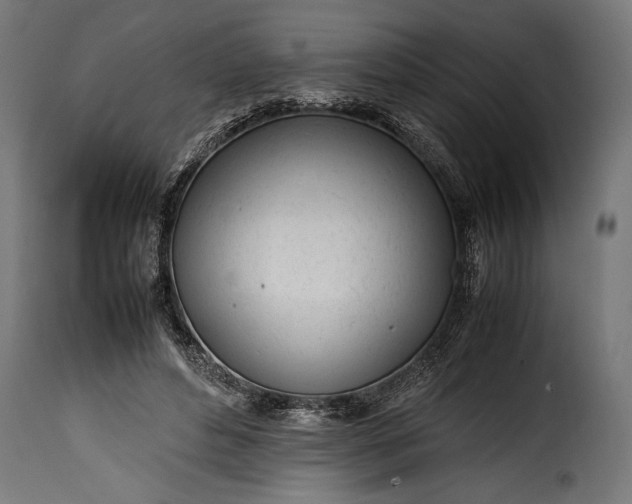 X0000115620496200911241627