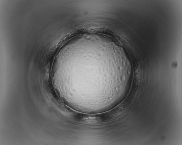 X0000115620499200911241627