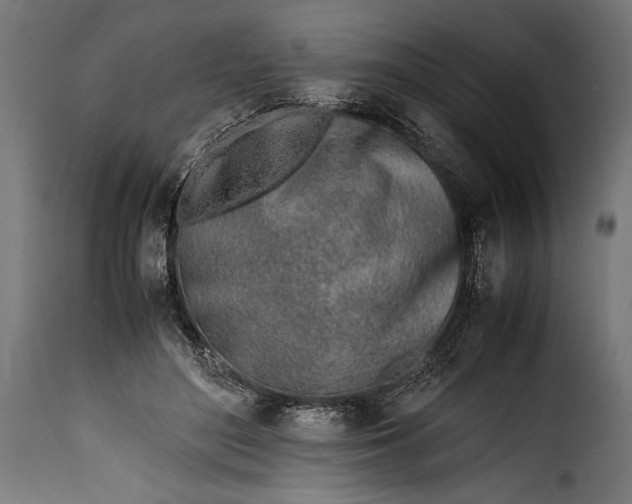 X0000115620500200911241627