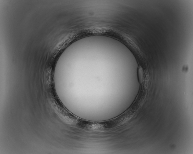 X0000115620501200911241627