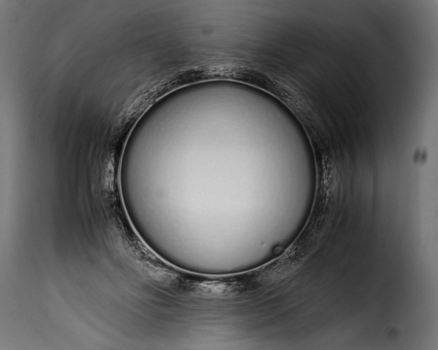 X0000115620502200911241627