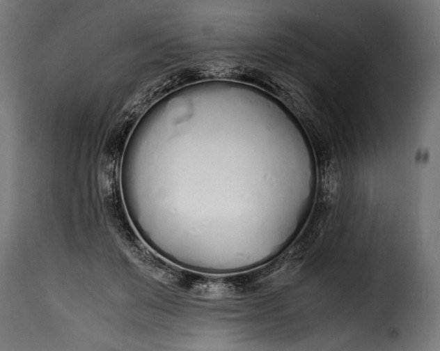 X0000115620503200911241627