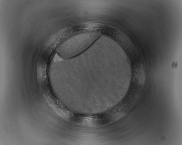 X0000115620504200911241627