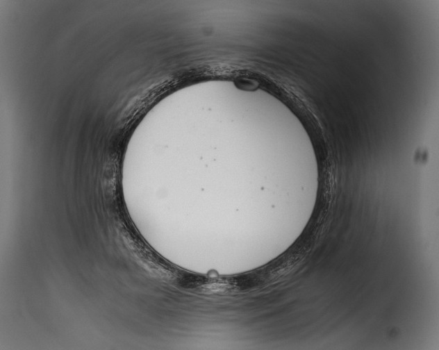 X0000115620505200911241627