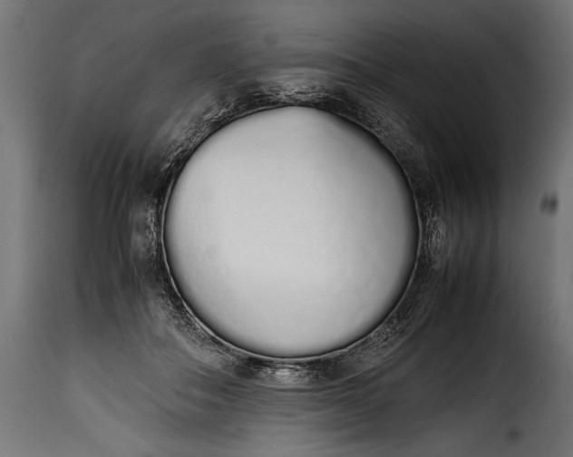 X0000115620506200911241627