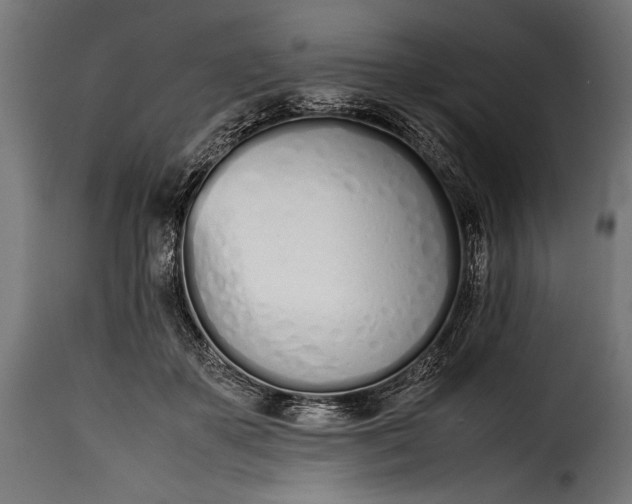 X0000115620507200911241627