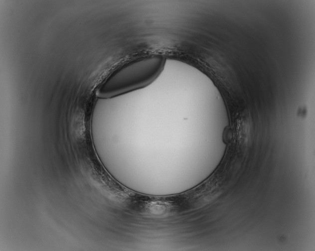 X0000115620508200911241627