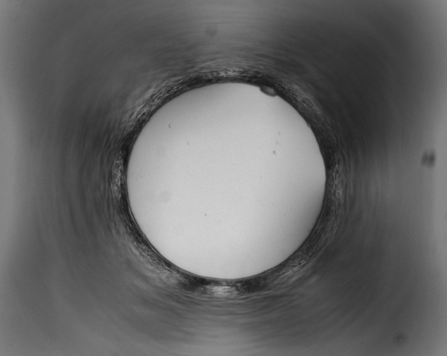 X0000115620509200911241627