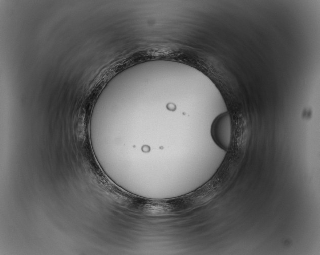 X0000115620510200911241627