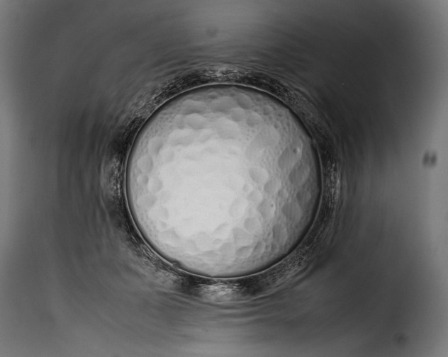 X0000115620511200911241627