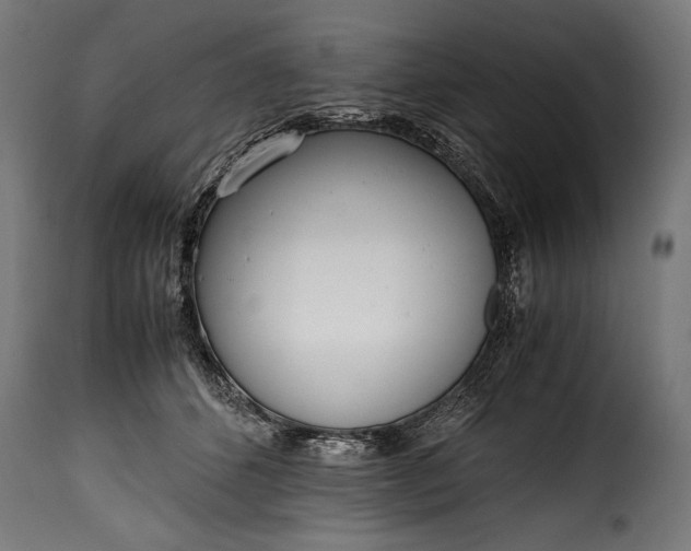 X0000115620512200911241627