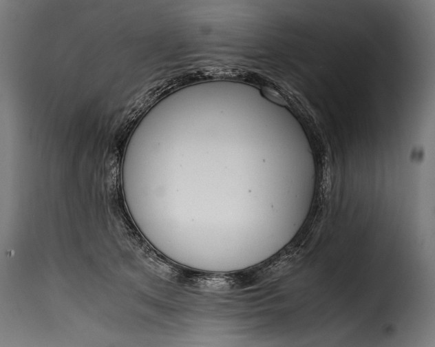 X0000115620513200911241627