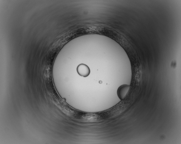 X0000115620514200911241627