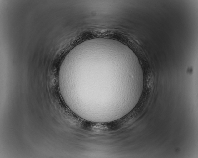 X0000115620515200911241627