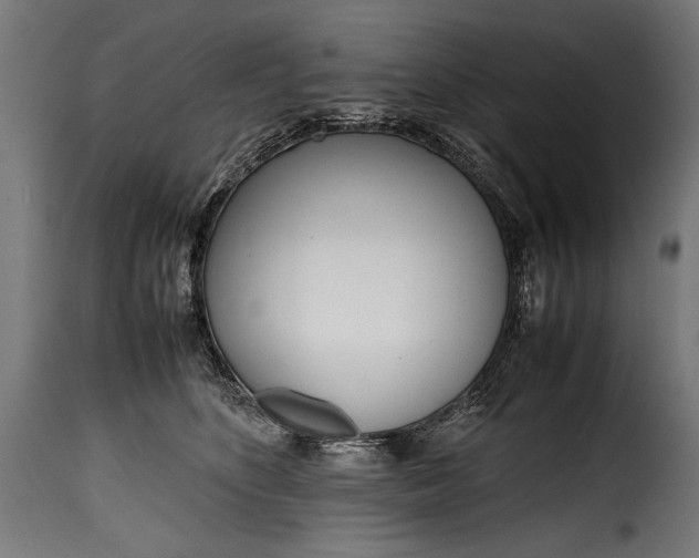 X0000115620516200911241627