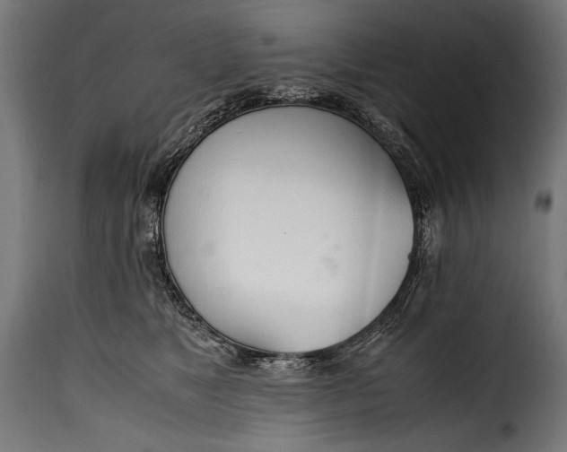 X0000115620517200911241627