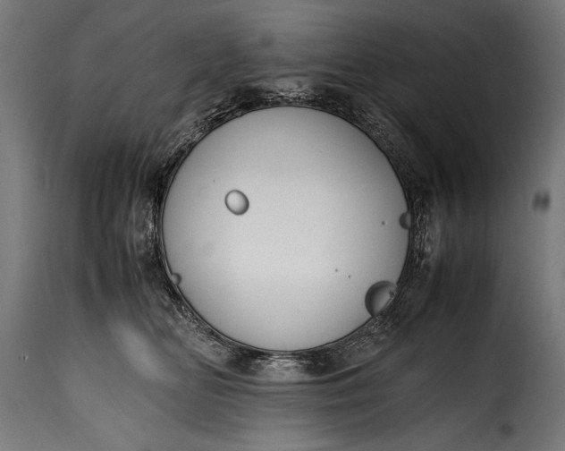 X0000115620518200911241627