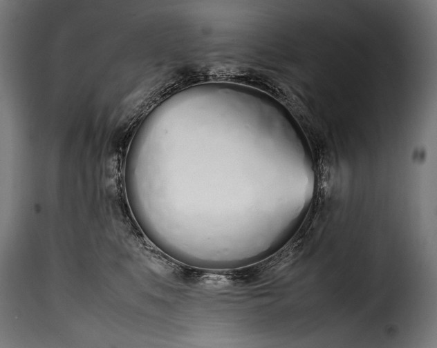 X0000115620519200911241627