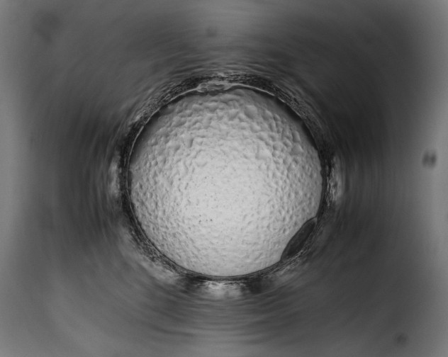 X0000115620520200911241627