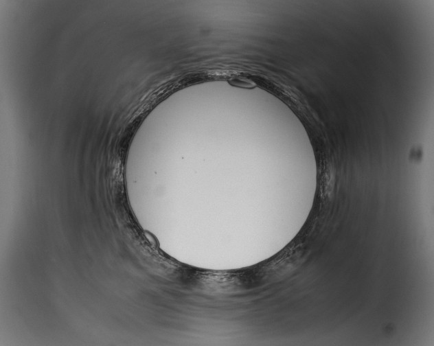 X0000115620521200911241627