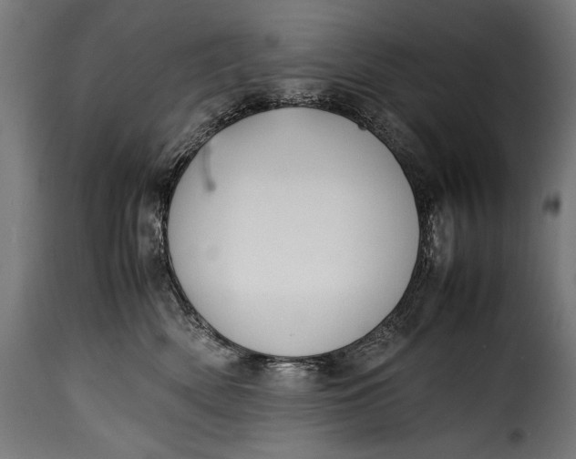 X0000115620522200911241627