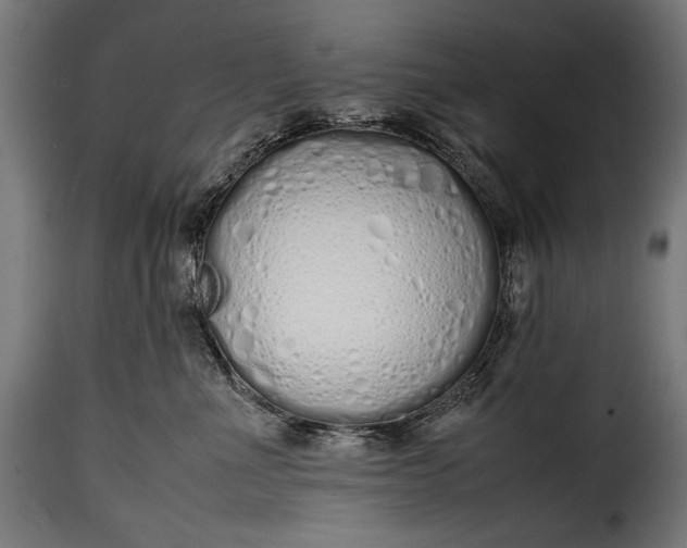 X0000115620523200911241627