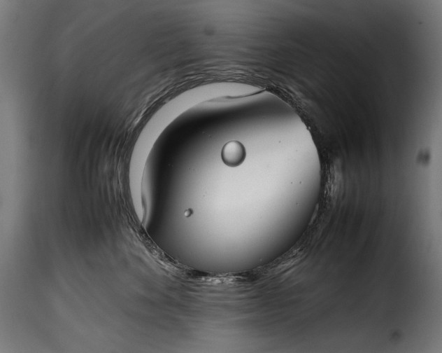 X0000115620524200911241627