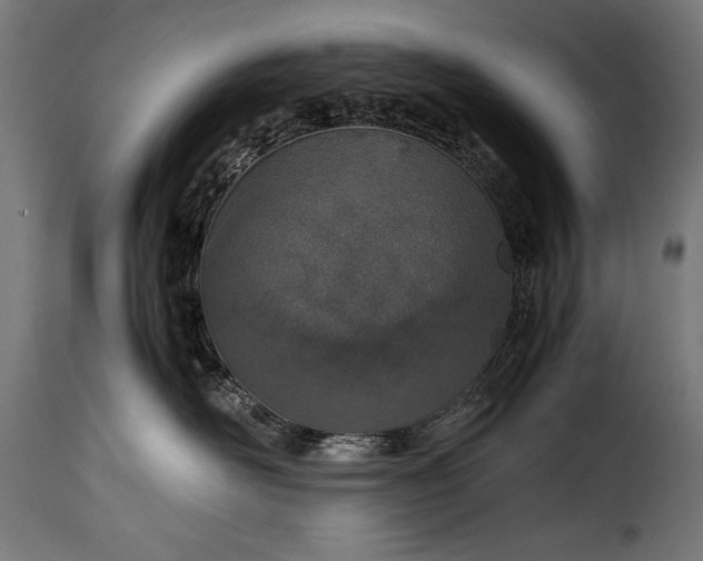 X0000115620526200911241627