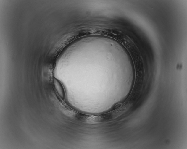 X0000115620527200911241627