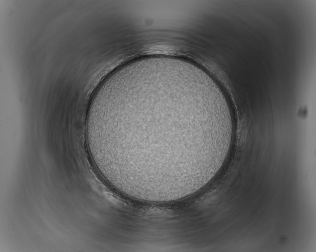 X0000115620529200911241626