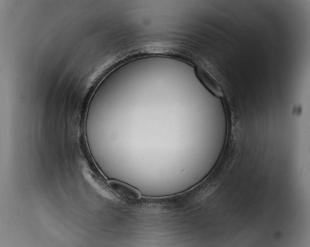 X0000115620530200911241626