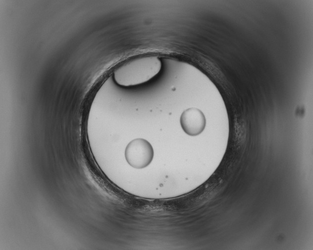 X0000115620534200911241626