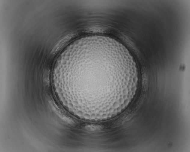 X0000115620537200911241626