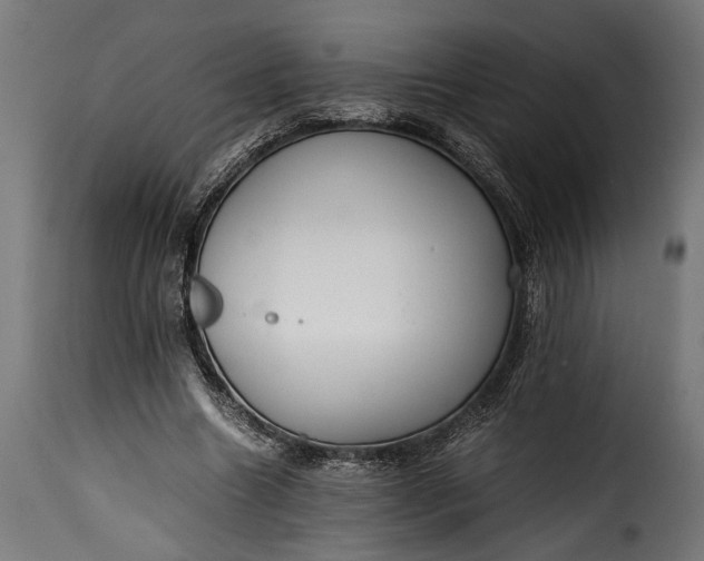 X0000115620538200911241626