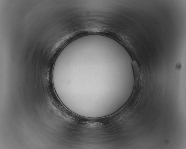 X0000115620539200911241626